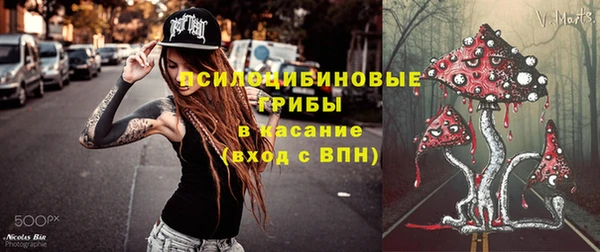 СК Богородск