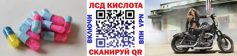 дарнет шоп  Волчанск  Лсд 25 экстази кислота 